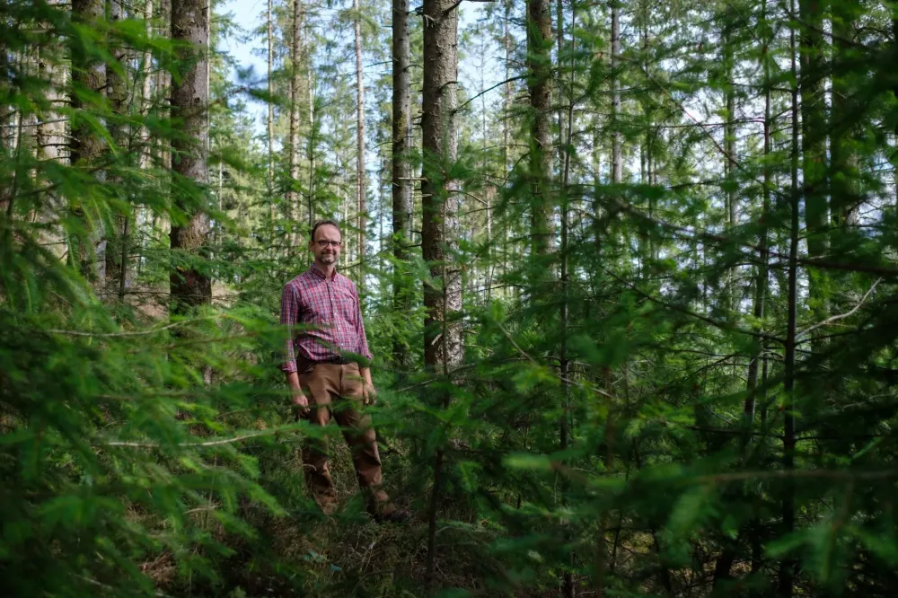 expert forestier (1)